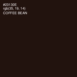 #23130E - Coffee Bean Color Image